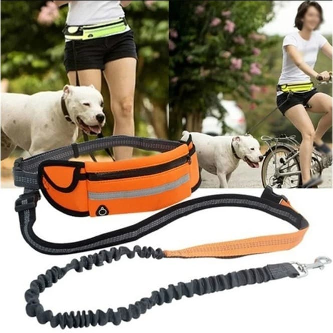 Kit Guia De Cintura Mãos Livres Para Cachorro Com Pochete Com Espaço Para Celular E Guia Elástica Antipuxão