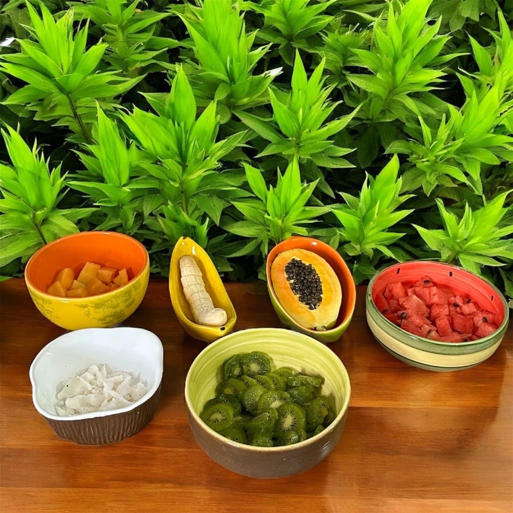 Tigela Decoradas Em Frutas Bowl de Cerâmica Para Cozinha Pintado á Mão