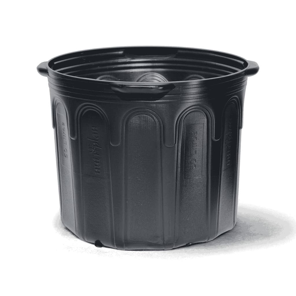 Vaso para Mudas 50 Litros com Alça Plástico Resistente para Cultivos Viveiros e Jardinagem Nutriplan