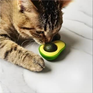 Catnip Abacate 360º Mordedor Bolinha Brinquedos Gatos Fruta Abacate Estímulo Felino