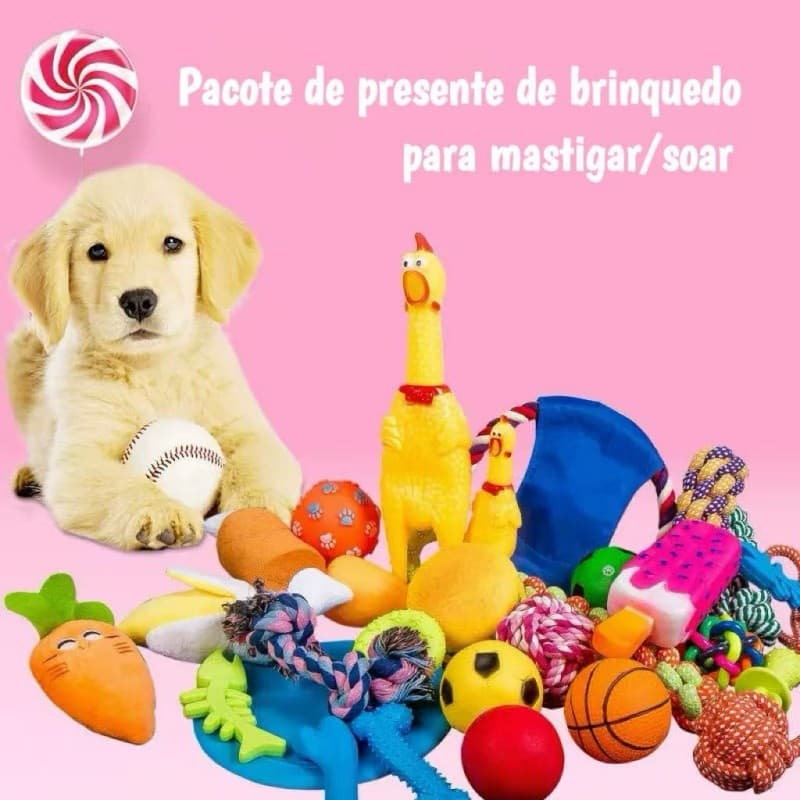 5 Ktis Conjuntos de brinquedos para gatos e cães de cachorro - Uma variedade de brinquedos sonoros/para mastigar