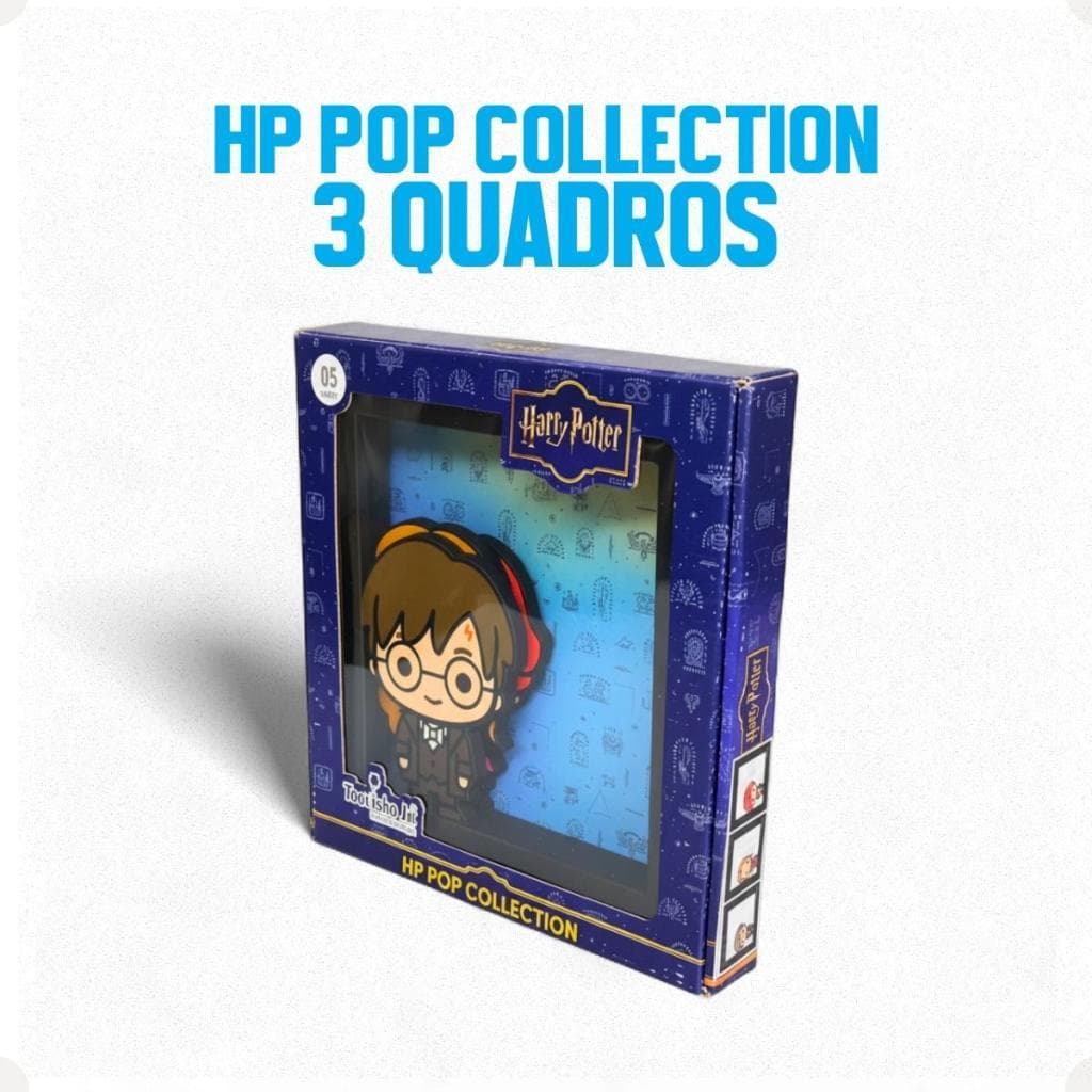 Kit 3 Quadros Harry Potter POP Collection Jogo Decoração Quarto Sala