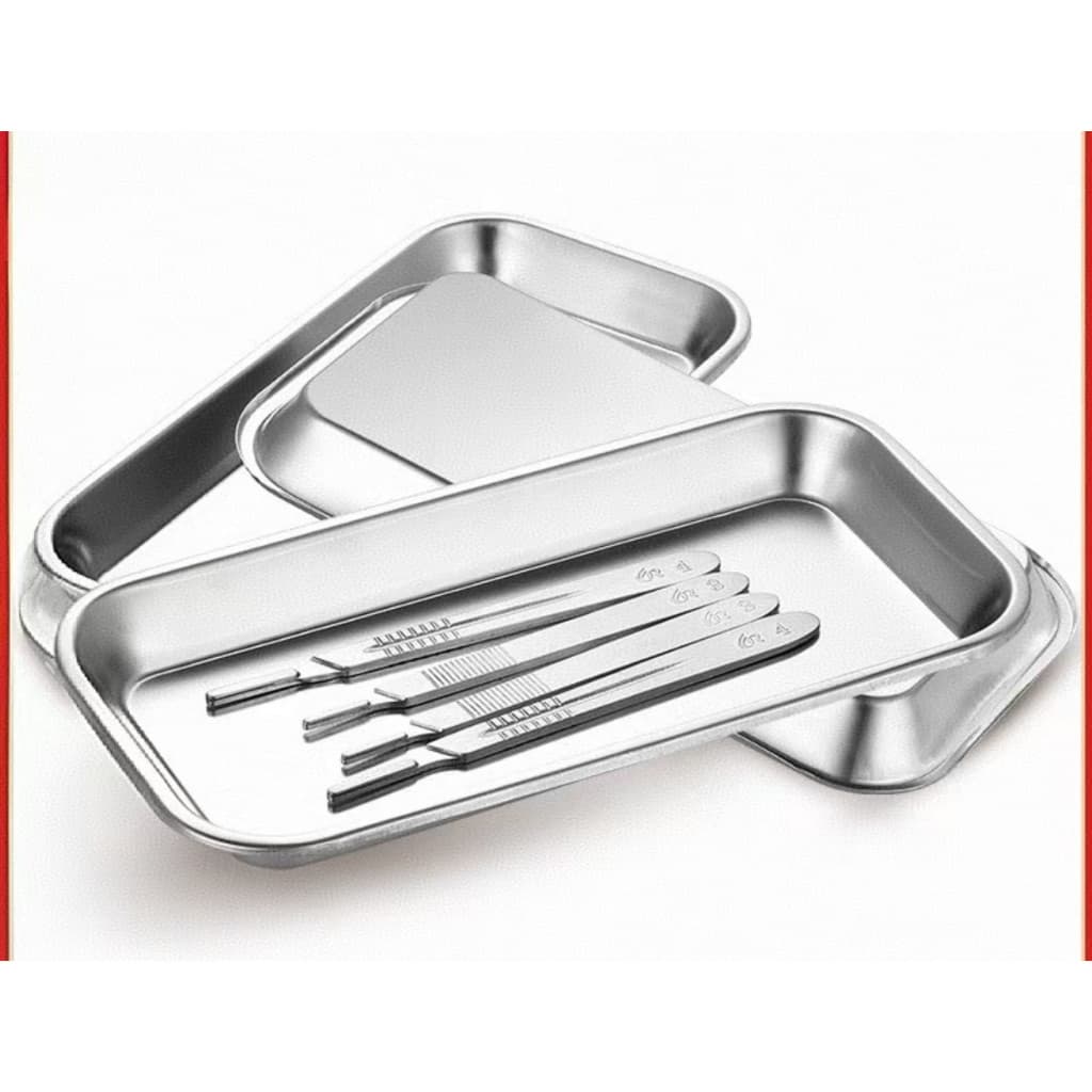 Bandeja Aco inoxidavel Para Servir Alimentos Banhado a Prata 22.5x12x2cm