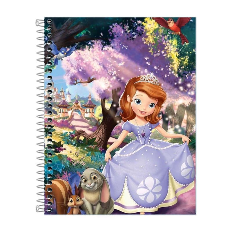 Caderno Princesinha Sofia 1 Matéria 80 Folhas