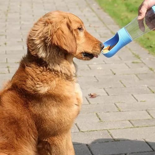 Garrafa de Água e Comida 2 em 1 para Cães e Gatos – Portátil e Multifuncional para Pets