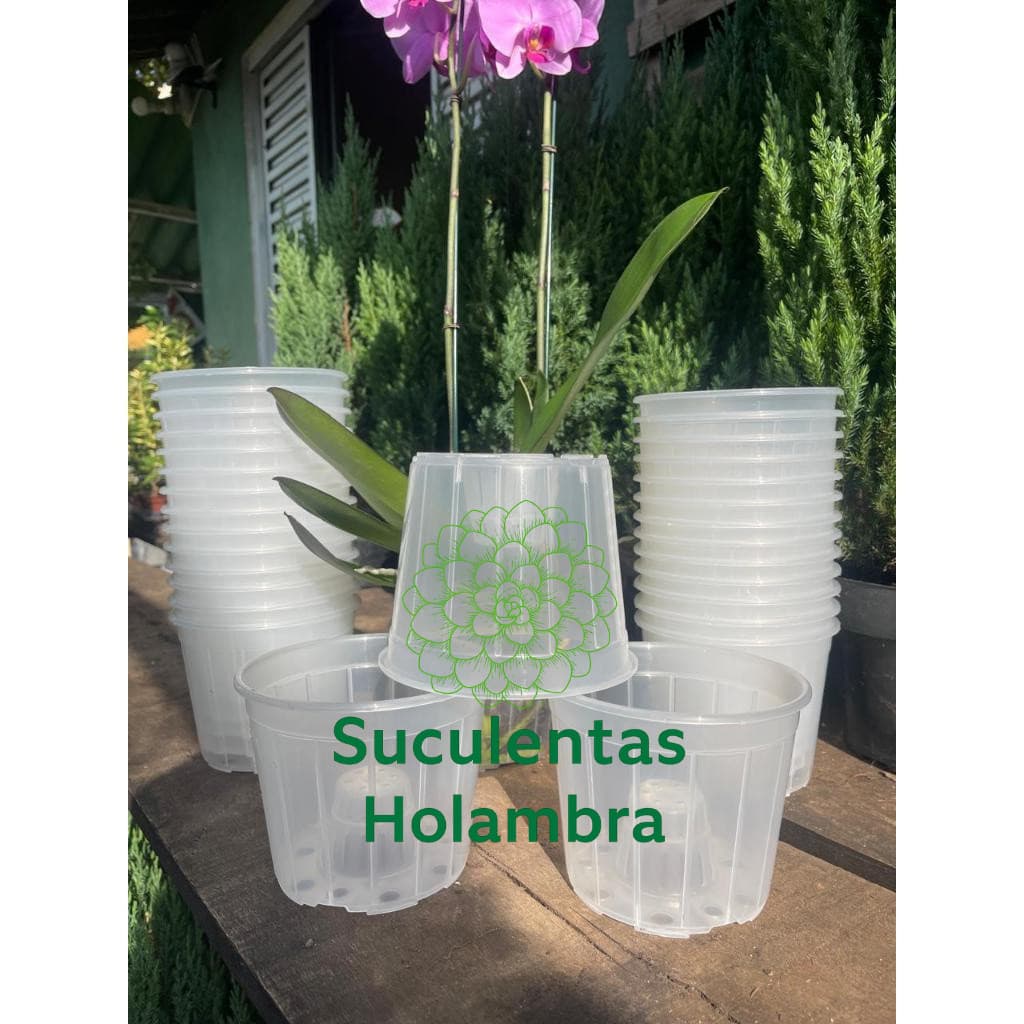 Kit 5 Vasos Transparente Orquídea Pote 15 REFORÇADO – Cultivo Profissional