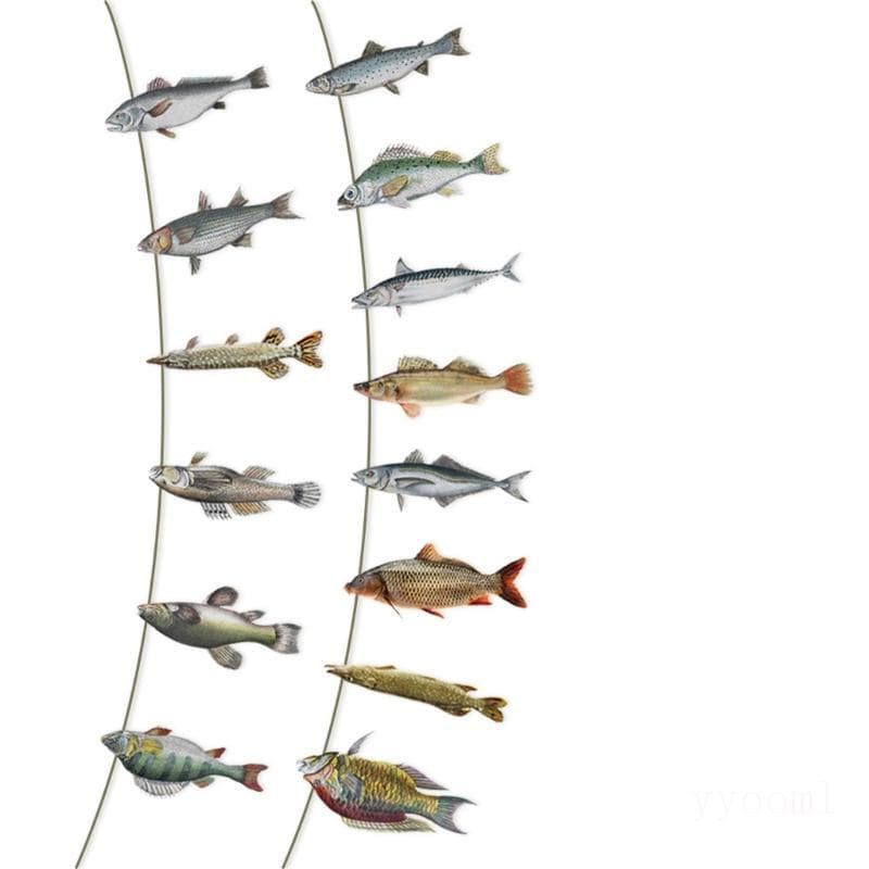 yyooml Festa Aniversário Pesca Forma Peixe Ornamento Suspenso Para Aposentadoria