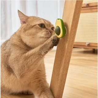 Brinquedo Catnip Estímulo Felino Bolinha Osso Lamber Gato Abacate Pelúcia Mordedor Dente Fruta