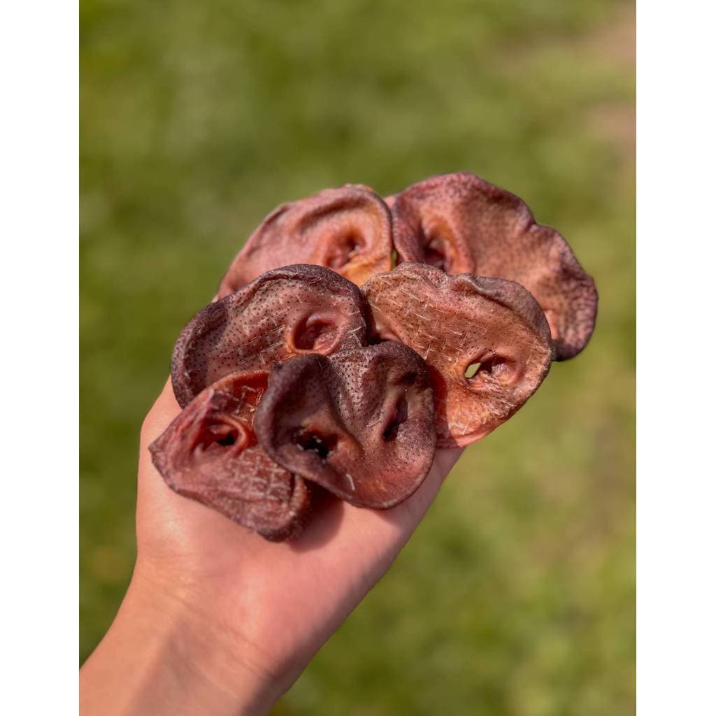 Mordedor Para Cães Focinho Suino Pet Bem Petisco Natural 6un