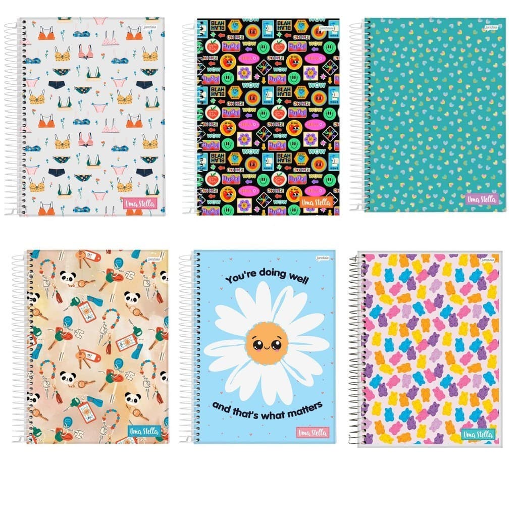 Kit C/2 Cadernos Universitário 20 Materias 320 Folhas Feminino Capa Dura Espiral Stella Jandaia