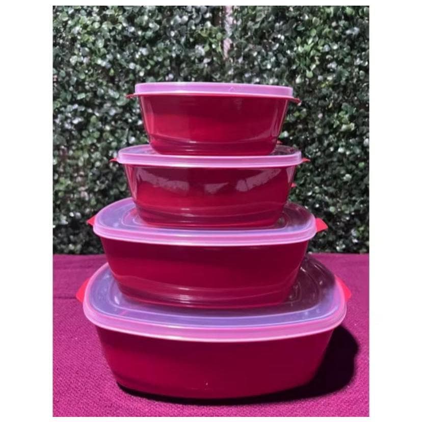 Kit 4 Potes Plásticos Herméticos Com Tampa E Organizador