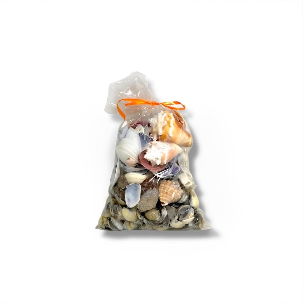 3 Pacote com 600g de Conchas Mar para Aquário e Decoração.