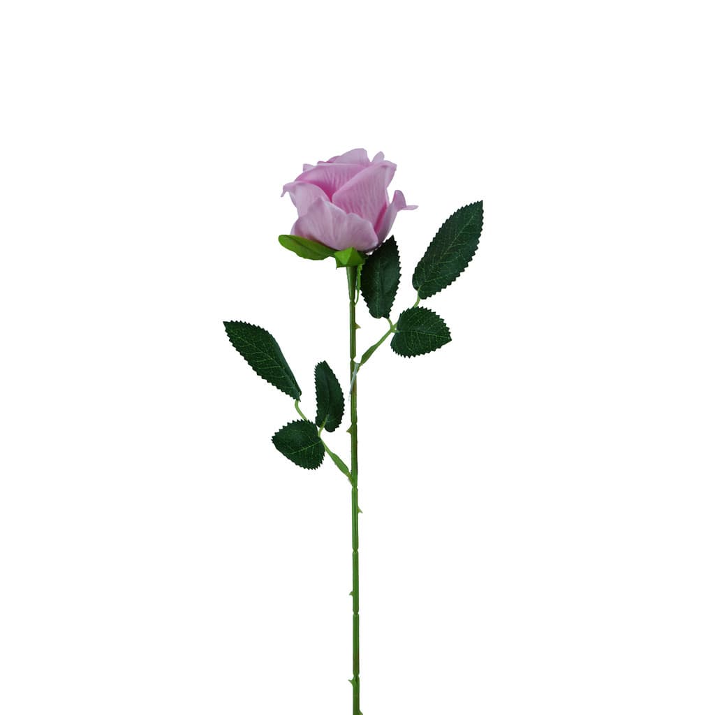 Rosa Botão Veludo