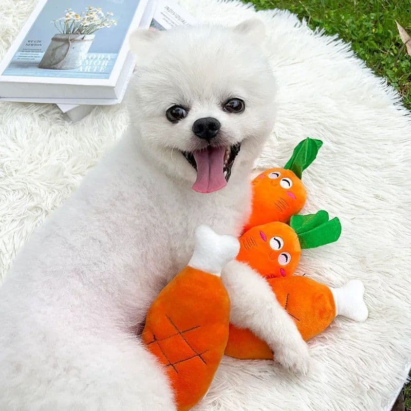 Pet Toy Coxa de Frango – Brinquedo de Pelúcia Divertido para Cachorros e Gatos