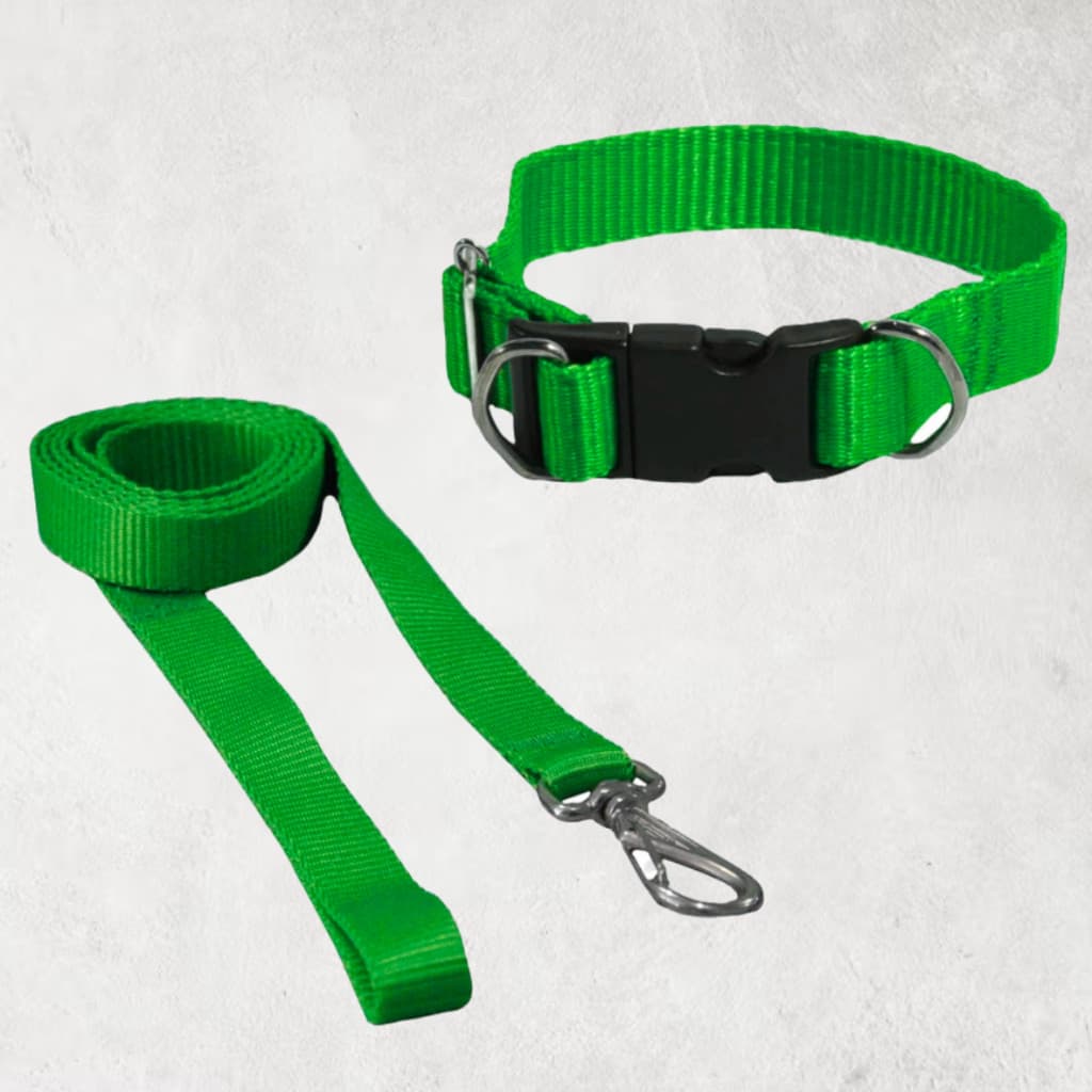 COLEIRA AJUSTÁVEL PREMIUM + GUIA INCLUSA - KIT COMPLETO PARA SEU PET