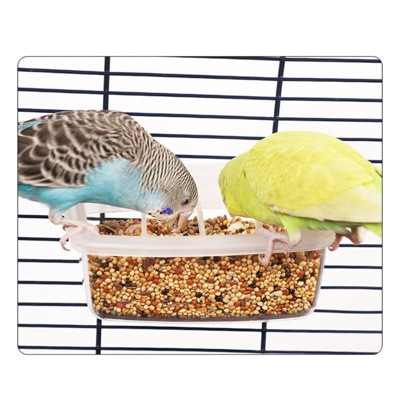 XY AntiSpill Bird Container Clear View Design Alimentadores De Papagaios Para Fácil Monitoramento De Alimentação E Suspe