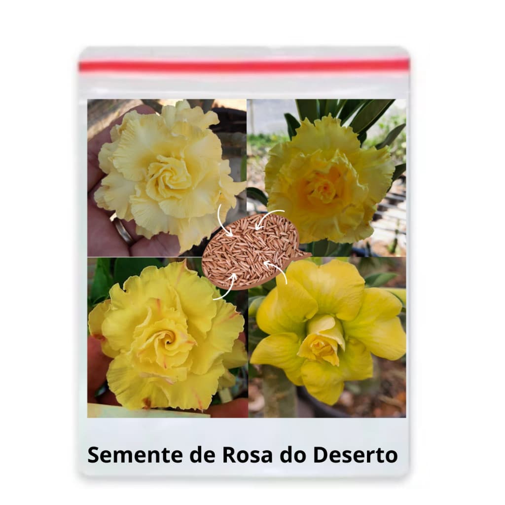 30 Sementes Rosa Do Deserto Amarela Dobrada/tripla