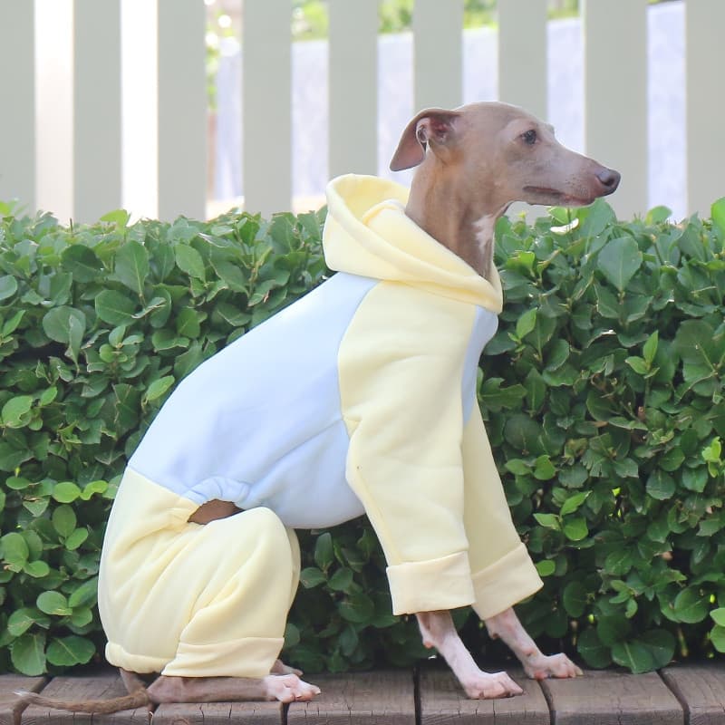 Estilo de Inverno - Moletom com Capuz Forrado e Engrossado para Cães Greyhound, Whippet e Bedlington Terrier, Tecido Que