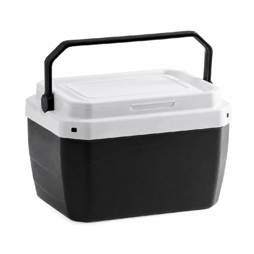 Caixa Térmica Box Cooler Paramount 6 Litros Com Alça