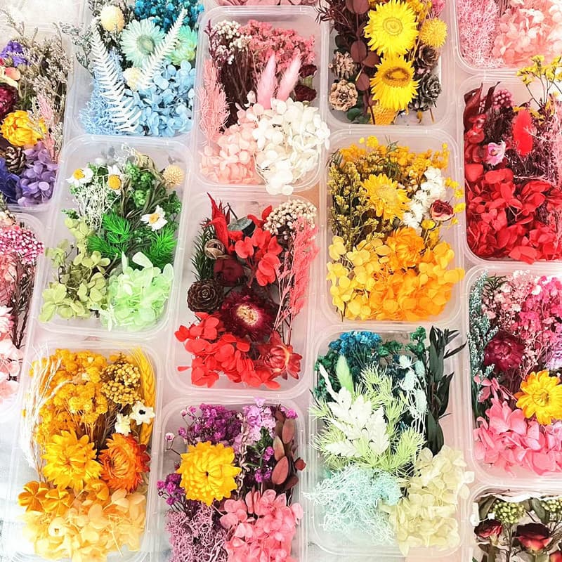 Caixa de flores secas mistas DIY, pacote de material de flores artesanais mistas, pacote de material de flores secas, fl
