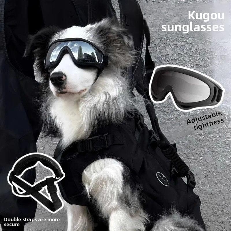 Óculos de sol para cães, óculos grandes para animais de estimação, acessórios para passeios à prova de vento