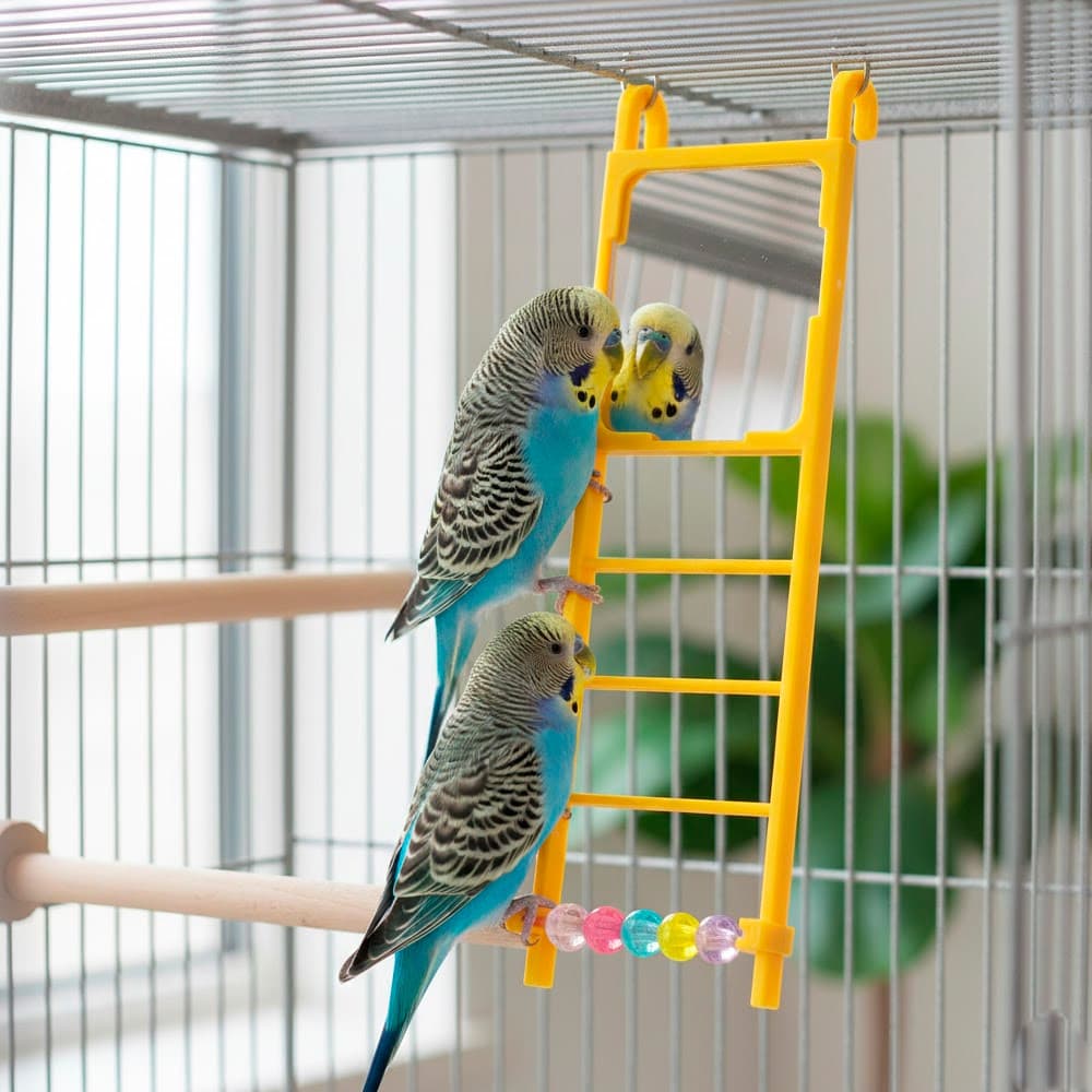 Escada Espelhada Para Pássaros The Pets Brasil – Brinquedo Interativo e Colorido