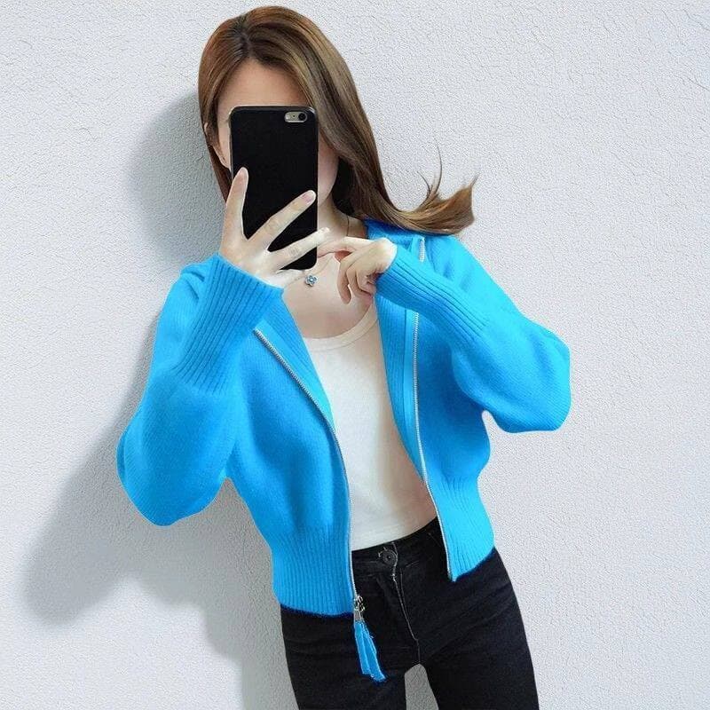 Com capuz curto zíper primavera outono Cardigan de malha solta jaqueta Design mais magro olhar novo estilo usar camisola