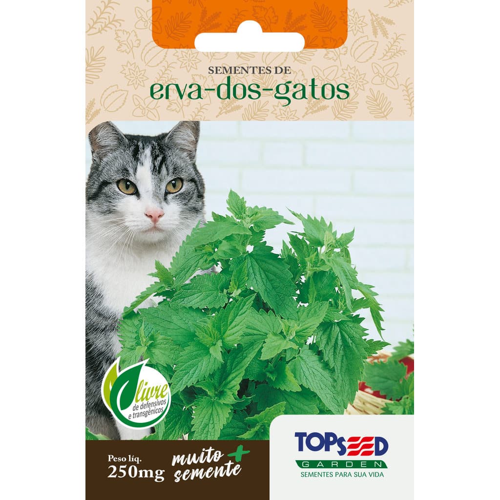 Sementes de Erva do Gato Catnip