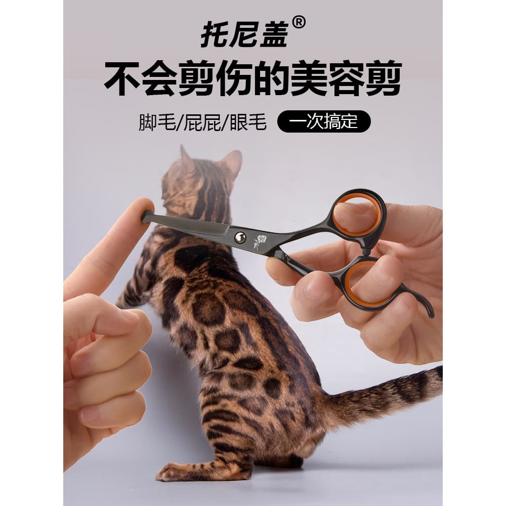 Tesoura curvada para animais de estimação, cabelo de cachorro, bunda, Pedicure, cabelo, cuidados com animais de estimaçã