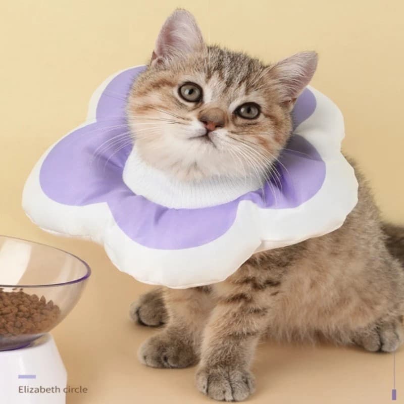 Coleira Impermeável para Gato, Coleira Ajustável de Algodão, Coleira para Animais de Estimação, Coleira Anti-riscos para