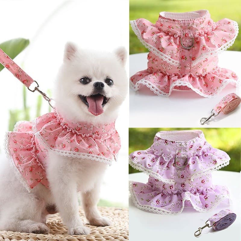 Colete De Verão Para Cães , Malha Respirável , Roupa Transportar Animais De Estimação , Coleira E Gatos , Vestido Estilo