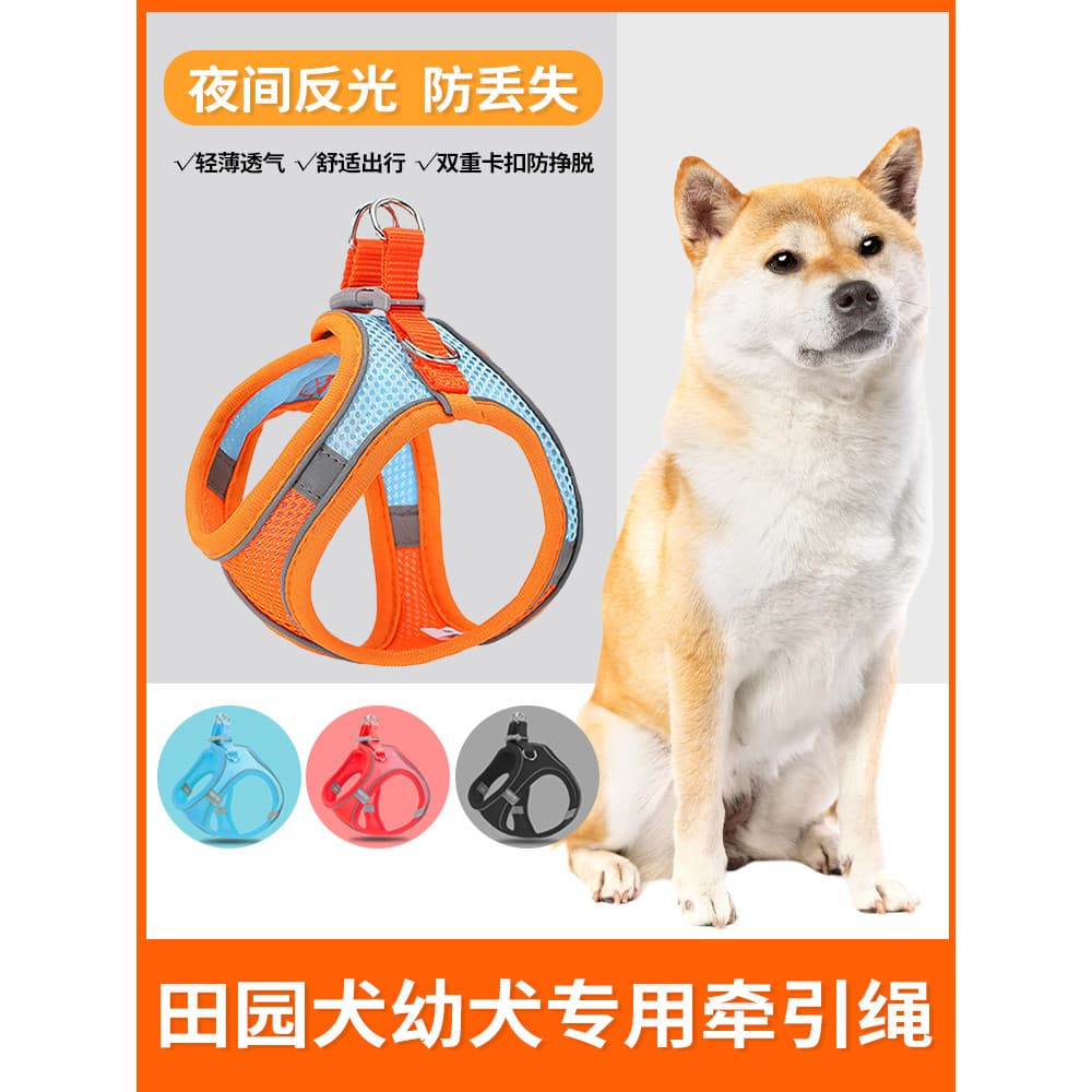 Coleira dedicada para cachorros pastorais chineses, coleira Ultra pequena para caminhada, cachorro pequeno, peito para t