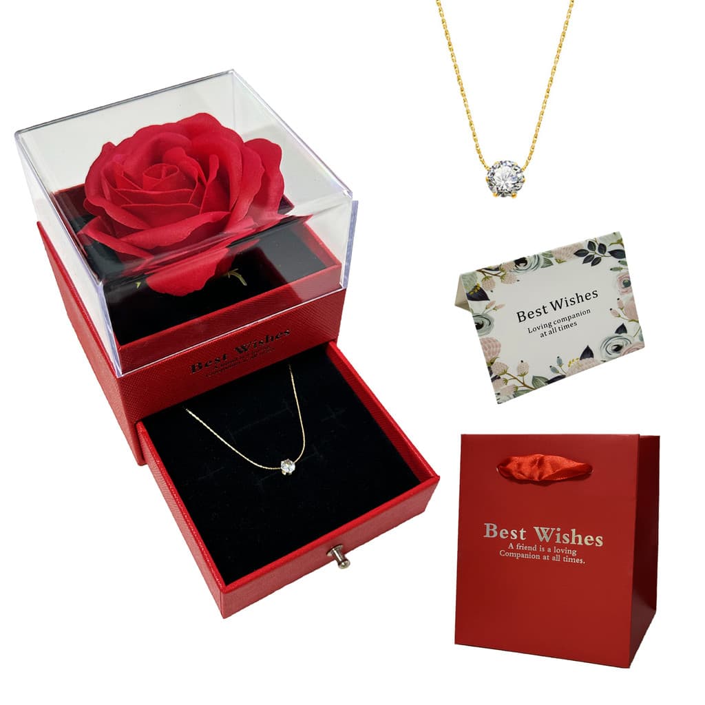 Colar Espumante para Mulheres com Pendente Redondo de Diamante Branco ,Elegante Caixa de Presente