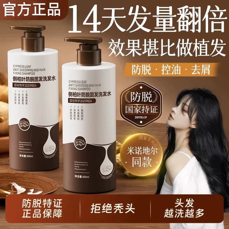 Polygonum Multiflorum Gengibre Shampoo Anti-derramamento Anti-derramamento de Cabelo Nutritivo Ginseng Shampoo Controle