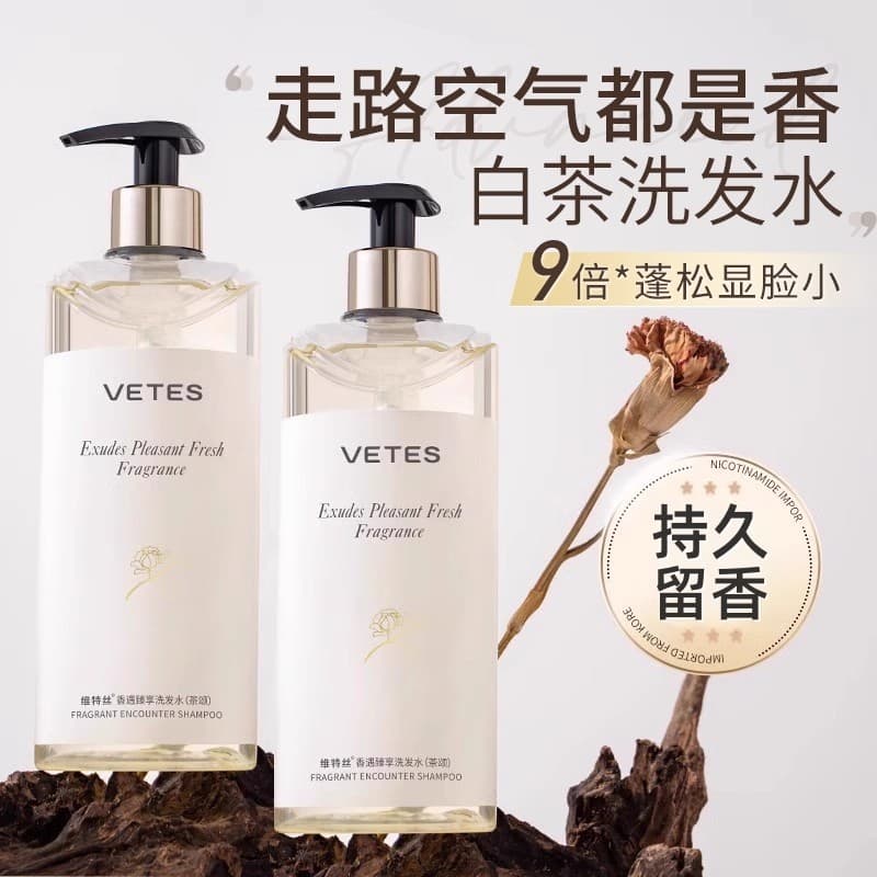 Shampoo de chá branco fragrância de longa duração controle de óleo fofo anti-caspa anti-coceira shampoo condicionador co