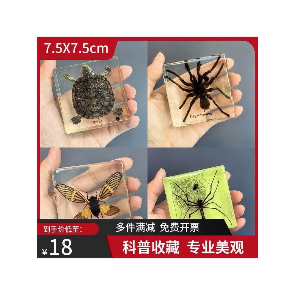 Ornamentos populares de resina com espécimes reais de animais (insetos) em âmbar para educação científica em jardins de