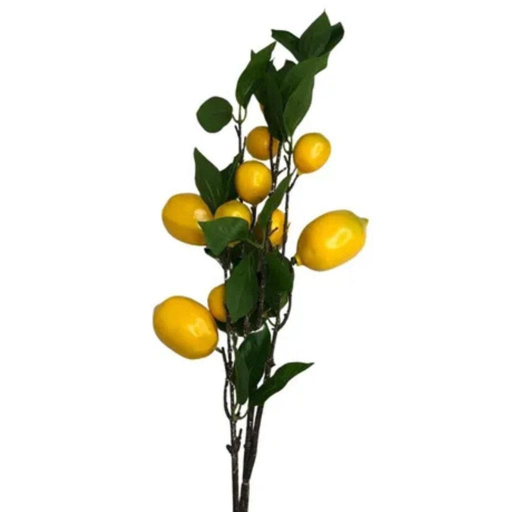 Galho Mini Limão Siciliano x10 Amarelo 100cm