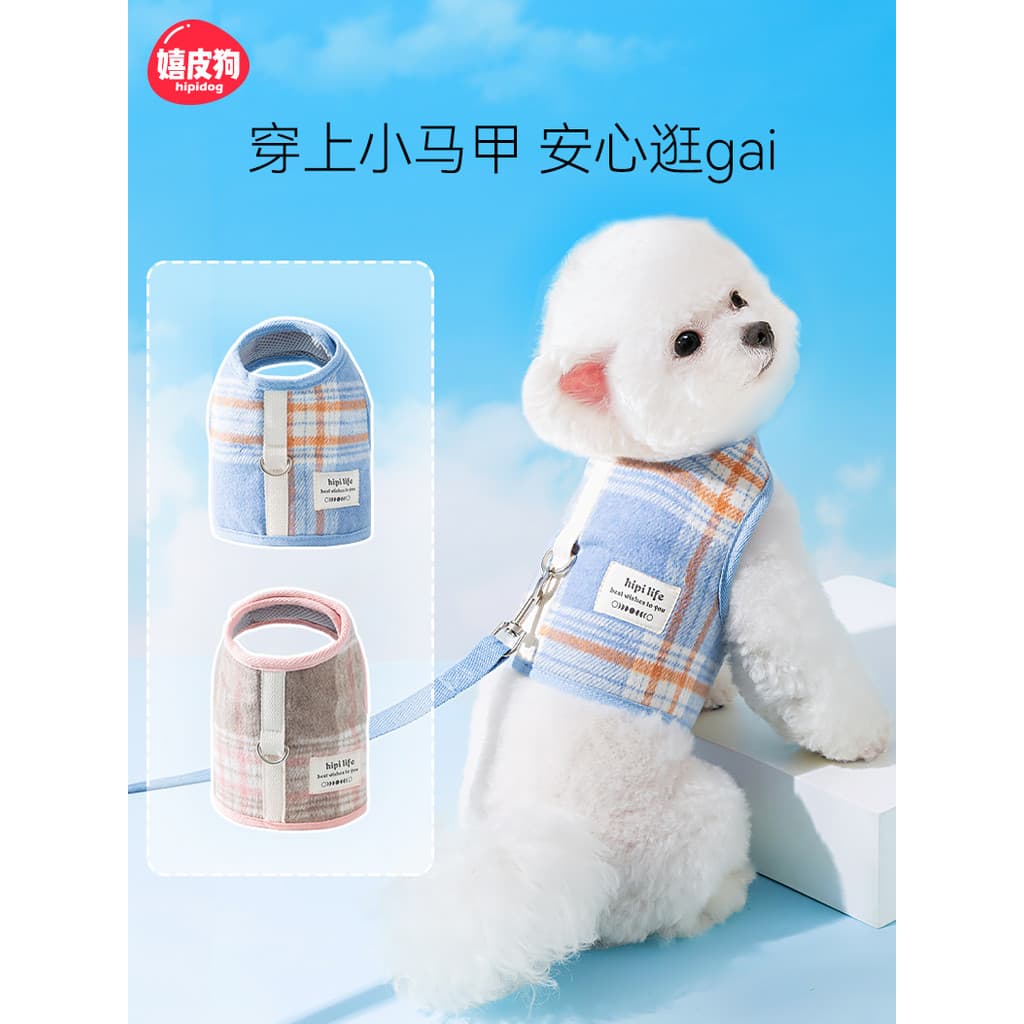 Yorkshire dedicado coleira de cachorro coleira de cachorro coleira de tamanho médio pequeno cão dedicado explosão-Proo