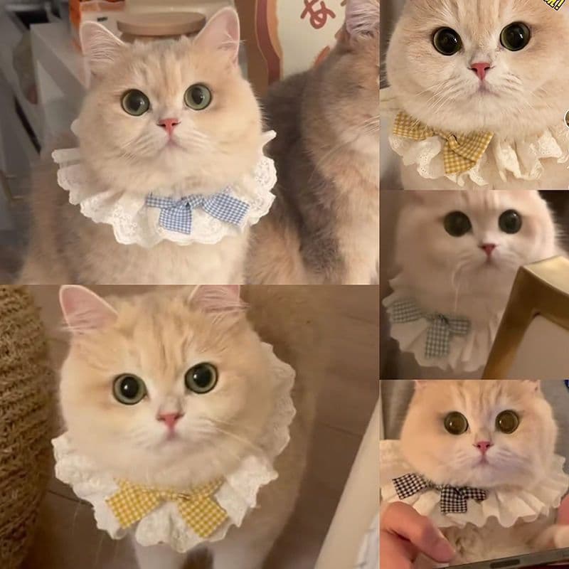 Babador de gato do mesmo estilo de hortelã, toalha de saliva, babador de cachorro, bolso de saliva de gato fofo, laço de