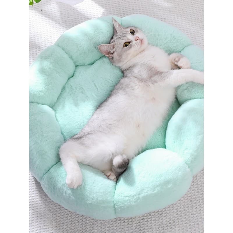 Influenciador maca de gato maca de cachorro pequeno inverno quente casa de gato Semi-fechada maca de cachorro de gato ma