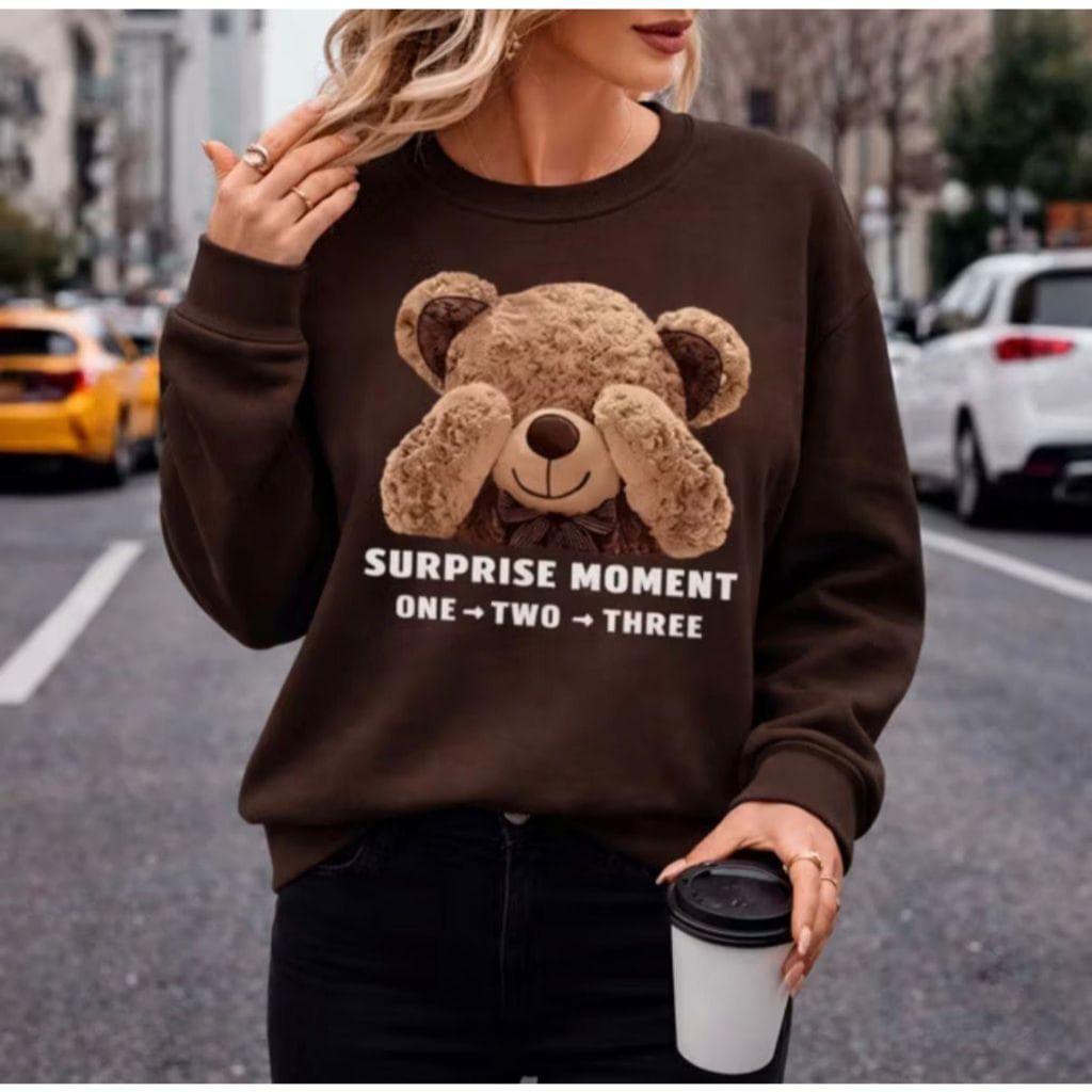 MOLETOM FEMININO BLUSA DE FRIO ESTILO SUÉTER CASACO FLANELADO 100% ALGODÃO URSINHO FOFO VÁRIAS CORES