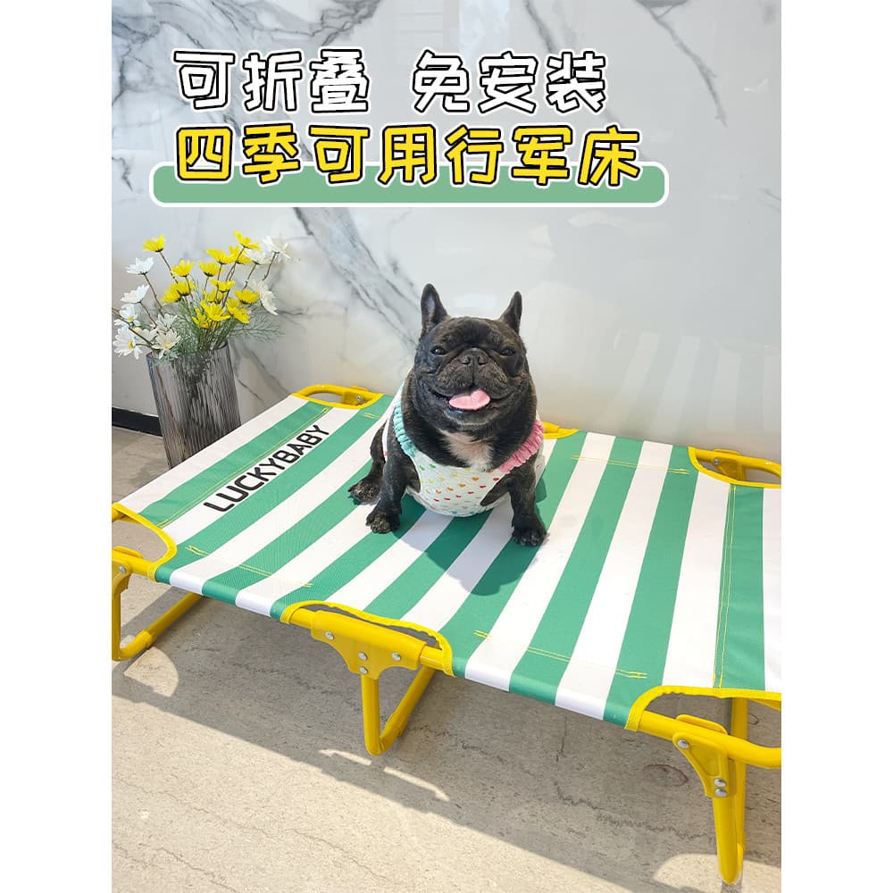 Camel cão clássico listrado cama de acampamento primavera verão passeio portátil dobrável instalação-livre canil maca de