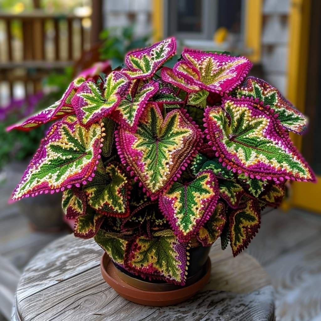 Caladium Trama de Folha – 100 sementes com manual de cultivo