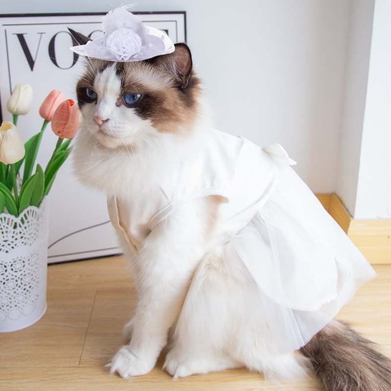 Vestido De Noiva Para Cachorro Shih Tzu Fêmea Pérola Decorat Cat Outfit Com Bow Princesa Festa De Aniversário De Verão