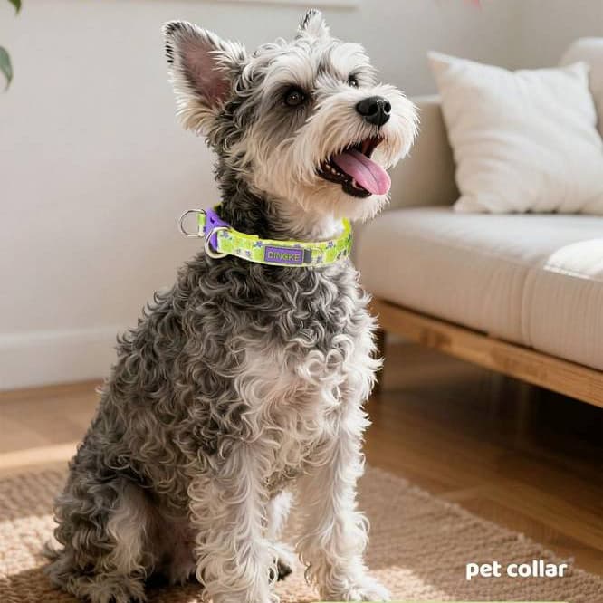 Coleira para caminhada de cachorro Coleira para cachorro de estimação Coleira grande média e pequena para passeio de cac