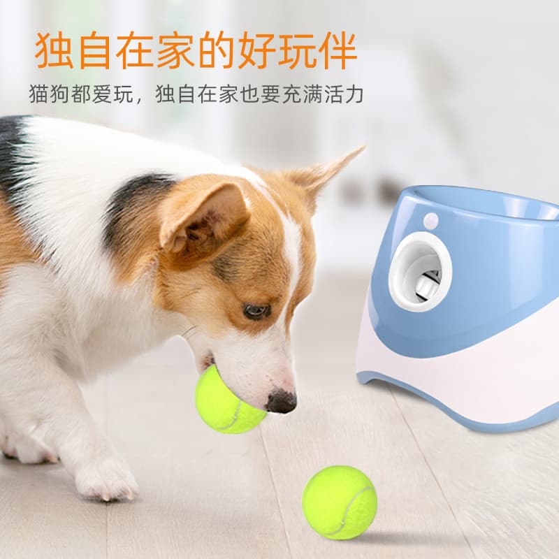 Lançador automático de bolas de tênis para animais de estimação, brinquedo para cães, máquina de lançamento de bolas, di