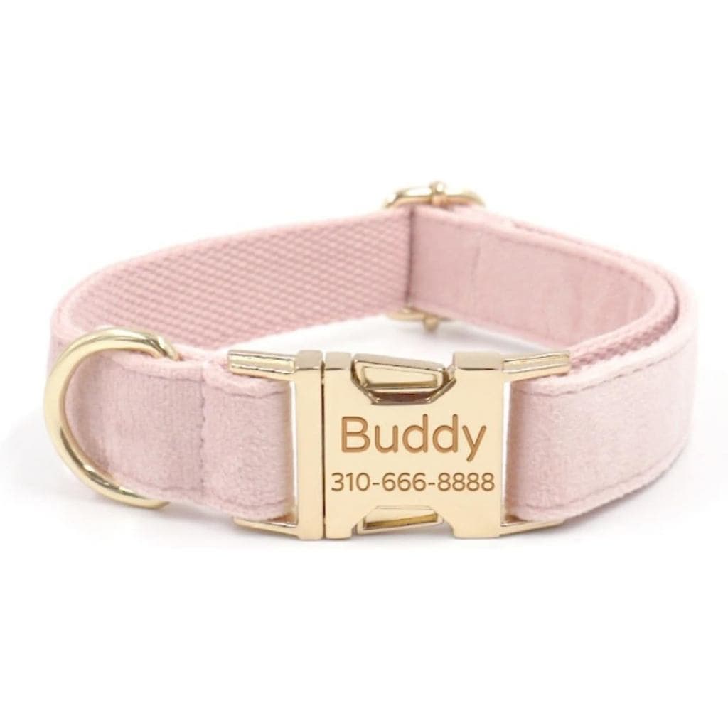 Coleira de veludo personalizada para cães, pode ser gravada com nome e número de telefone, adequada para cães grandes, m