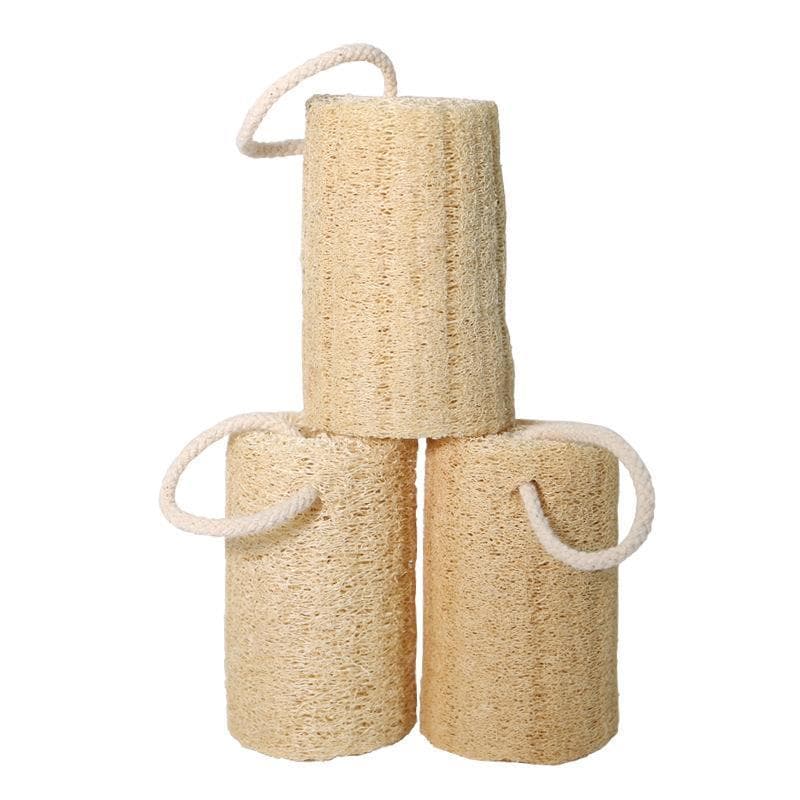 Bucha pano de prato cozinha bucha escova Natural seco lavar louça concha água bucha Rattan escova pote escova prat