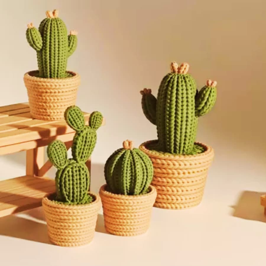 Kit 3 Cacto Oferta Especial Lindo