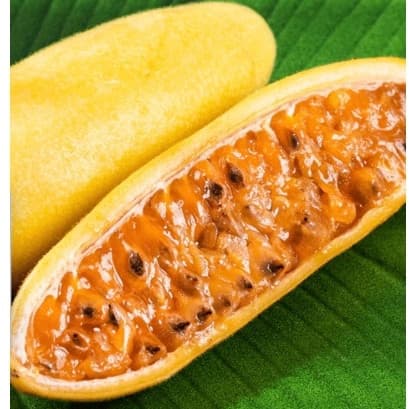 30 Sementes de maracuja banana para horta e jardim